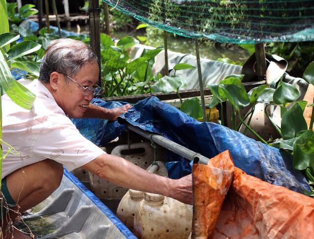 cách nuôi lươn trong can nhựa